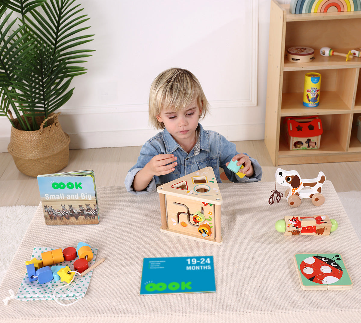 TOOKYTOY 19-24m Educational Box---TK753