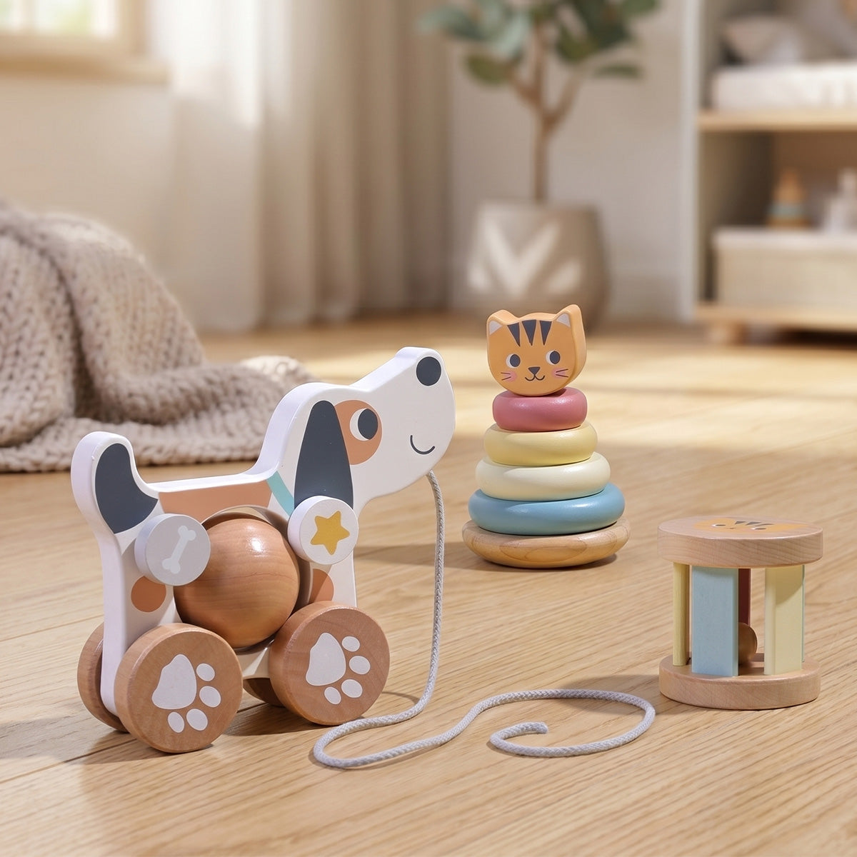 TOOKY TOY 3 In 1 Gift Box---TP516