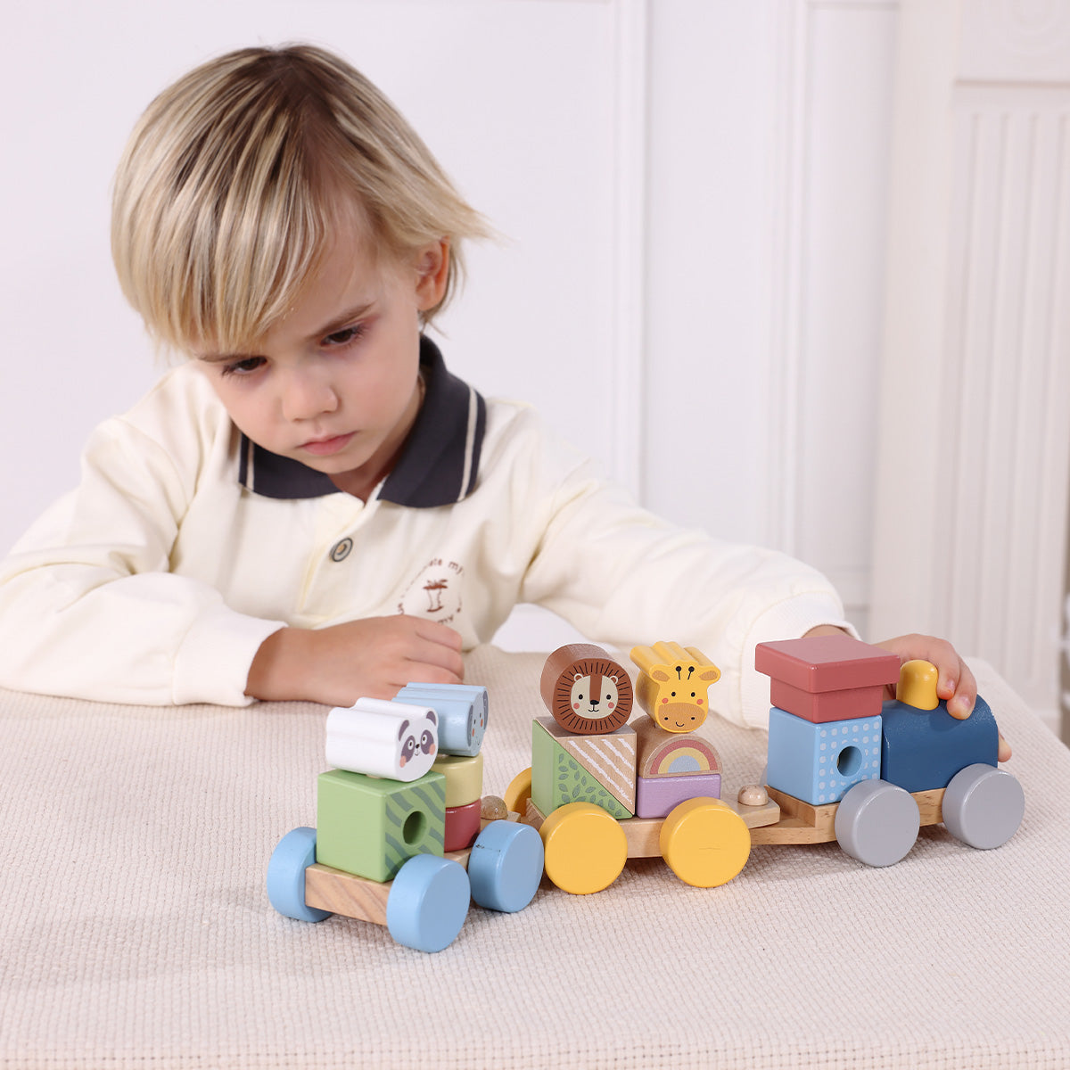 TOOKYTOY Stacking Train - Animals---TJ002