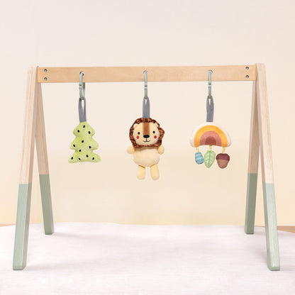 Baby Gym---TJ386