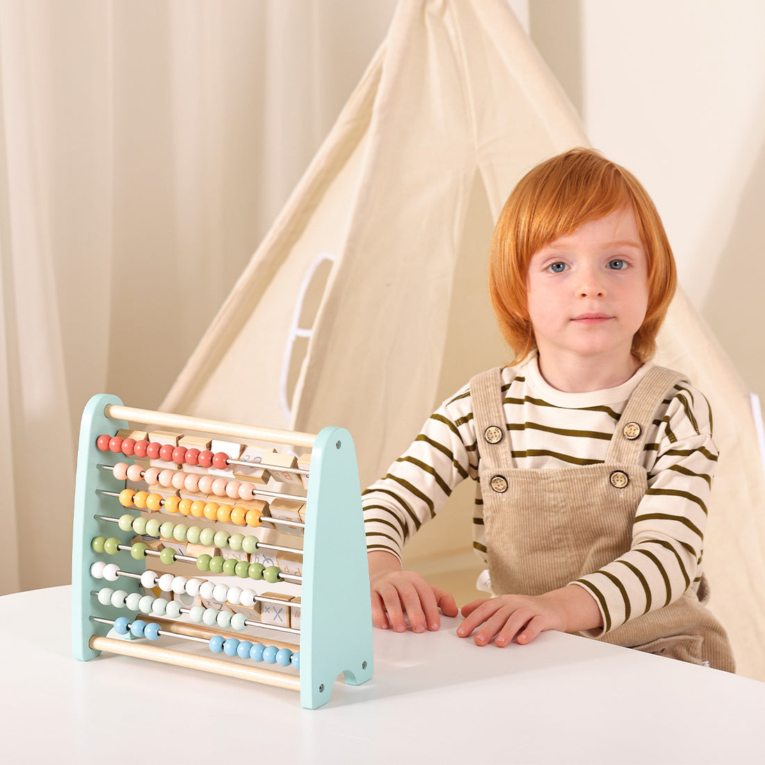 TOOKYTOY Double Sided Abacus---TJ558N