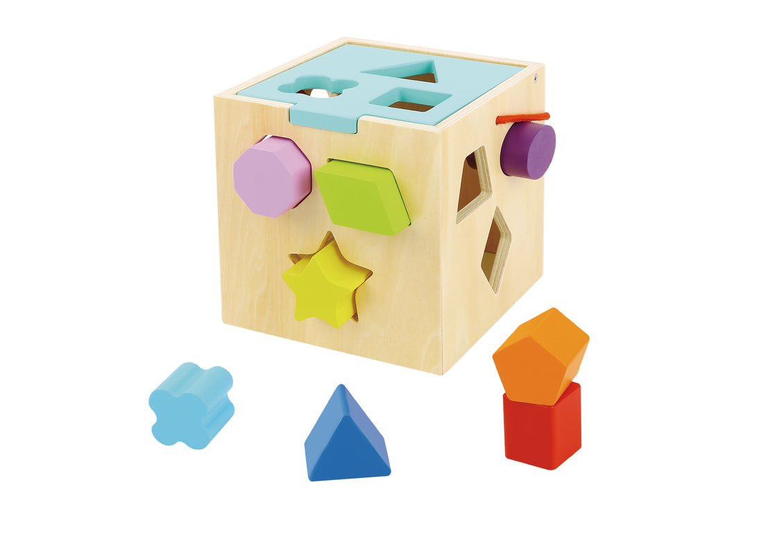 TOOKYTOY Shape Sorter---TK494