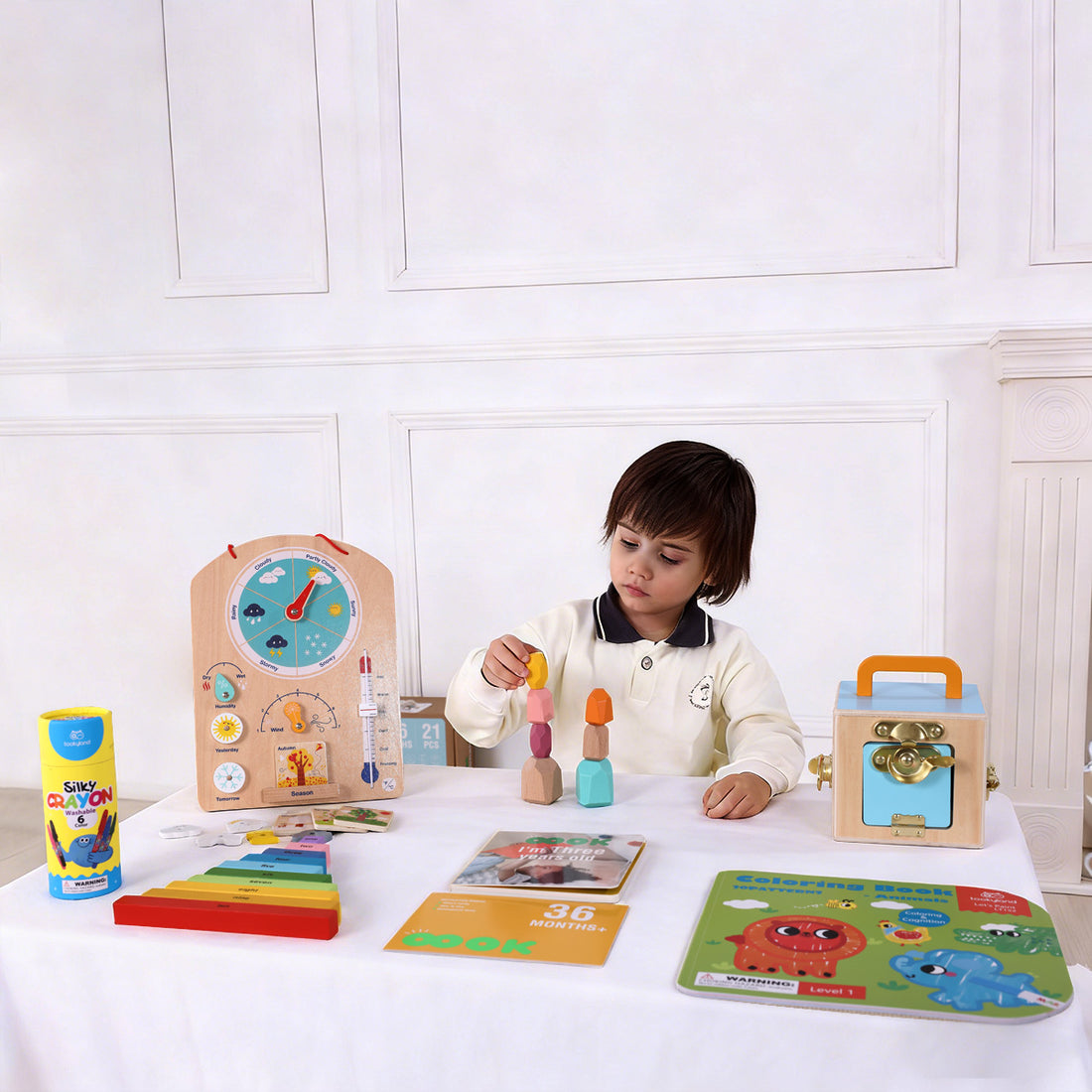 TOOKY TOY 36m+ Educational Box---TK755