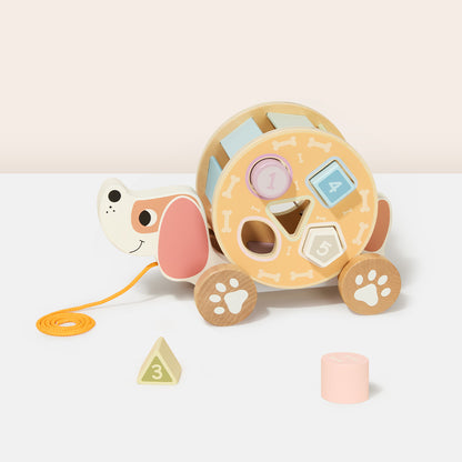 TOOKY TOY Pull Along - Hedgehog---TL033N