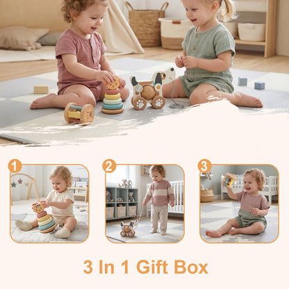 TOOKY TOY 3 In 1 Gift Box---TP516