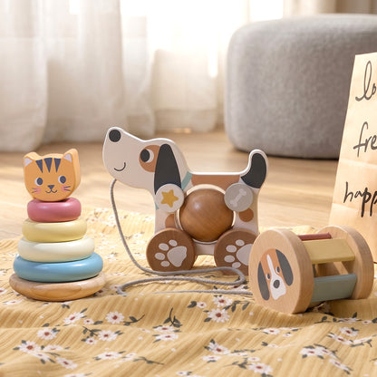 TOOKY TOY 3 In 1 Gift Box---TP516