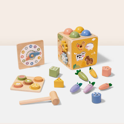 TOOKY TOY Activity Cube---TP551
