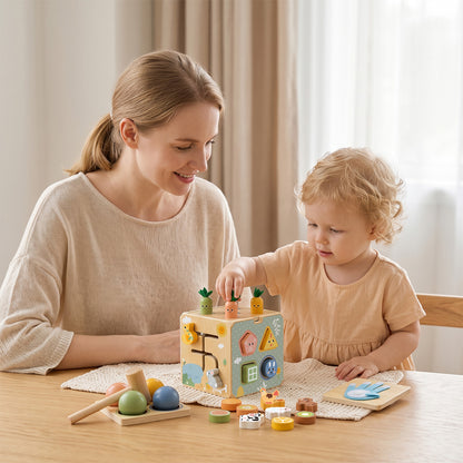 TOOKY TOY Activity Cube---TP551