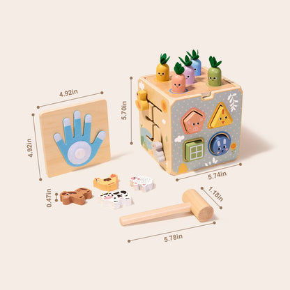 TOOKY TOY Activity Cube---TP551