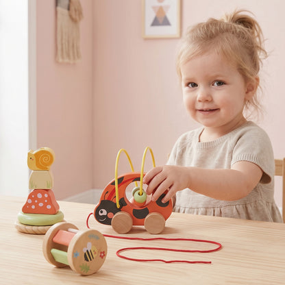 TOOKY TOY 3 in 1 Box - Ladybug---TP563
