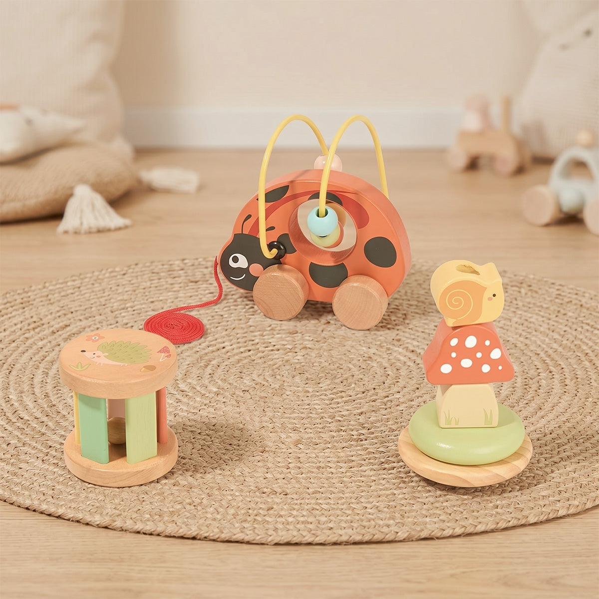 TOOKY TOY 3 in 1 Box - Ladybug---TP563